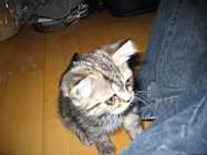 IMG_0629.jpg