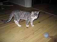 IMG_0714.JPG