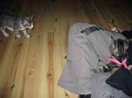 IMG_0719.JPG