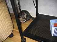 IMG_0721.JPG