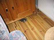 IMG_0728.JPG