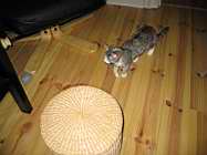 IMG_0729.JPG